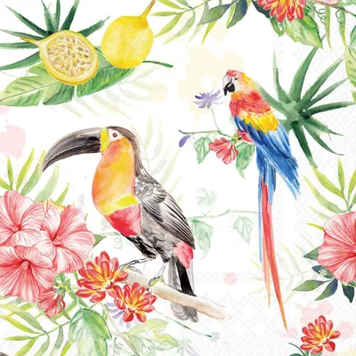 Produktbild von Servietten Lunch 33x33cm 3-lagig 20 Stück Tropische Vögel Papagei Ara Kakadu Ambiente-Servietten