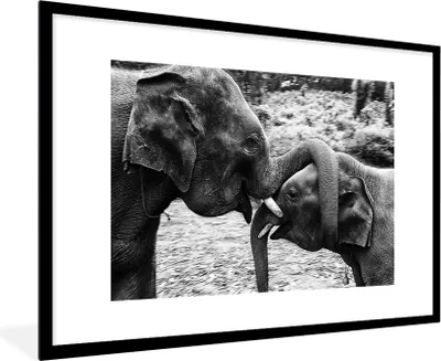 Produktbild von MuchoWow® MuchoWow® Gerahmtes Poster Elefant - Tiere - Natur - Schwarz und weiß 90x60 cm - Poster mit zchwarzem Bilderrahmen - Wanddekoration - Fotos