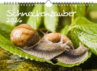 Produktbild von Schneckenzauber DIN A4 Kalender für 2026 Schnecken - Seelenzauber