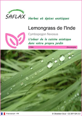 Image de SAFLAX - Lemongrass de l'Inde - 50 graines - Cymbopogon