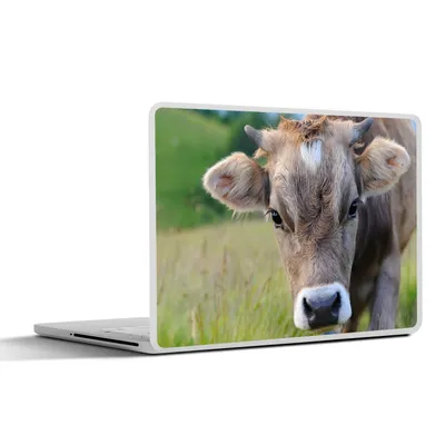 Produktbild von MuchoWow® Laptop Aufkleber Sticker Cover Kuh - Horn - Landschaft 40x30 cm - Laptop Dekoration - Selbstklebend