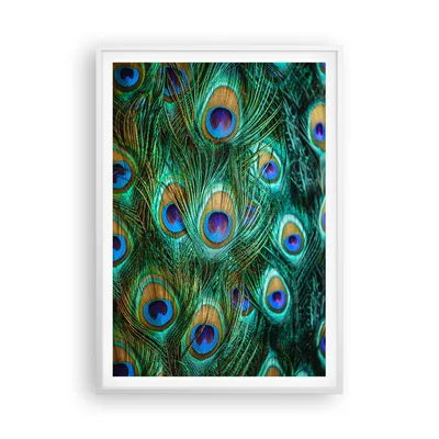 Produktbild von Gerahmtes Poster - Weißer Rahmen - Pfauen Feder Makro - 70x100 cm - Wand Bild - Wanddeko - Wandbilder - Kunstposter - Wandposter - Bilderrahmen - Bilder - Kunstdruck - Wandbild - P2WPA70x100-4159