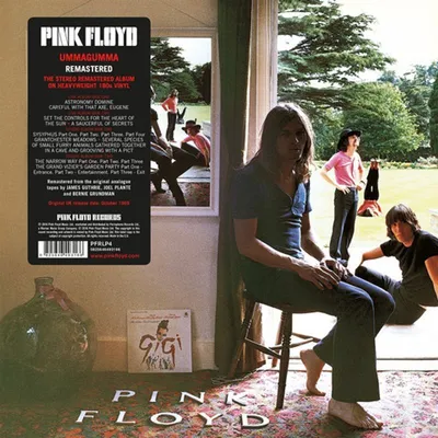 Image de Pink Floyd-Ummagumma