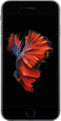 Produktbild von Apple iPhone 6s 32 GB vesmírne sivý