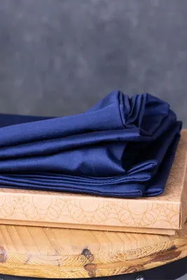 Produktbild von nanoSPACE Milbenschutzbezug für anatomisches Kissen 42 x 66 cm Nanobaumwolle blau