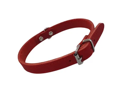 Produktbild von Nobby Halsband Tabil rot, Größe: S / Breite: 14 mm