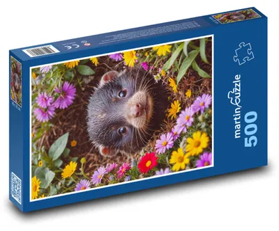 Zdjęcie produktu dla Puzzle 500 Kret wśród kwiatów - martinpuzzle