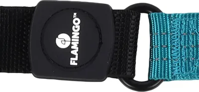 Produktbild von Flamingo Kurzführer Zorba türkis