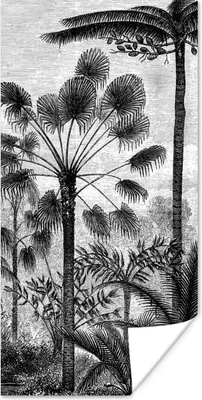 Produktbild von MuchoWow® Poster Design - Bäume - Natur - Pflanzen - Botanisch 75x150 cm - Dekoration für die Wände