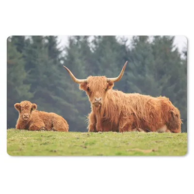 Produktbild von MuchoWow® Schreibtischunterlage Schottische Highlander - Gras - Wald 60x40 cm - XXL Mauspad - Großes Mauspad