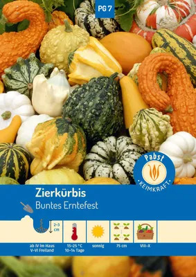 Artikelbild 1 von 'Zierkürbis Buntes Erntefest' aus der Kategorie Kürbissamen