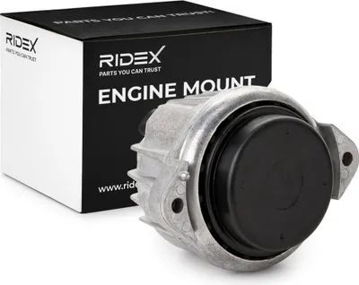 Produktbild von RIDEX Motorlager Hydrolager Rechts für BMW 3 Touring (E91) 247E0169