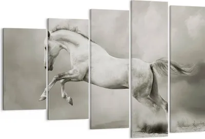 Produktbild von Bild auf Leinwand - Leinwandbild - Pferd Tier - 150x100cm - Wand Bild - Wanddeko - Wandbilder - Leinwanddruck - Bilder - Kunstdruck - Wanddekoration - Leinwand bilder - Wandkunst - EG150x100-3542