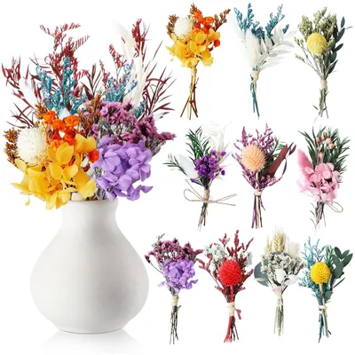 10er Set natürliche Trockenblumensträuße, 8-10 cm, gemischte Farben