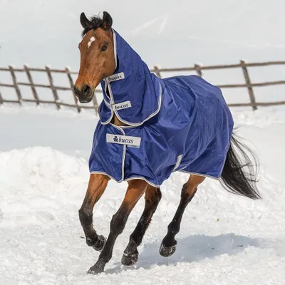 Produktbild von Bucas Outdoordecke 200g mit Halsteil Atlantic Turnout Weidedecke Navy 165