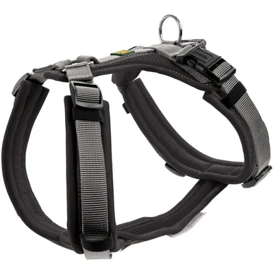 Produktbild von Hunter Maldon, Hund, Halftergeschirr, XS, Grau, Orange, Nylon, Einfarbig