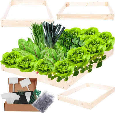 Produktbild von MODO24 Hochbeet Holz, Pflanzkasten, Massivholz, Kiefer, Kräuterbeet, Blumenkasten, Garten, Terrasse, 9x90x100 cm, Natur, ZP09