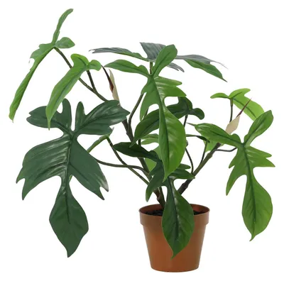 Produktbild von Künstlicher Philodendron Florida 44cm im Topf realistische Kunstpflanze Deko