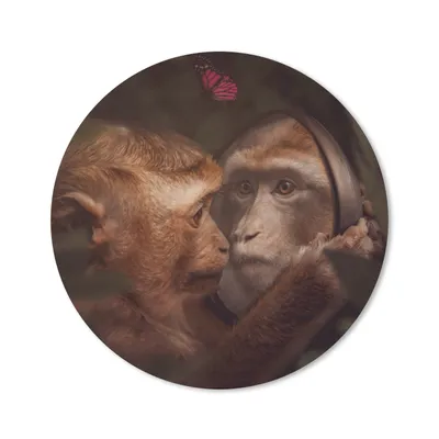 Produktbild von MuchoWow® Mauspad Mousepad Schmetterling - Affe - Tiere - Dschungel 20x20 cm - Mousepads - Maus Mat - Pad - Mausunterlage - Schreibtischmatte