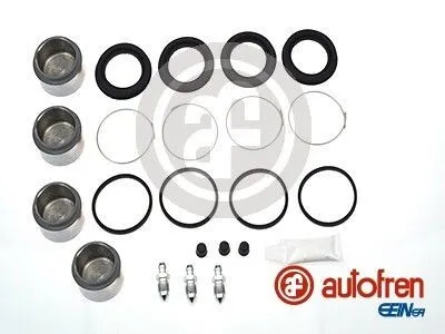 Obrázek produktu pro AUTOFREN SEINSA sada na opravu brzdových třmenů D41181C