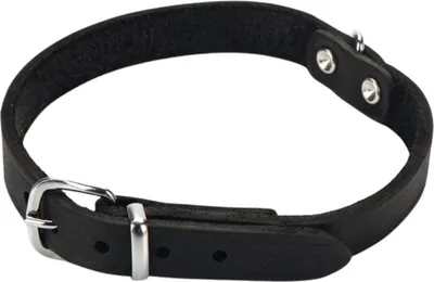 Produktbild von Beeztees Hundehalsband Leder schwarz, Verstellmöglichkeit: 32 - 37 cm