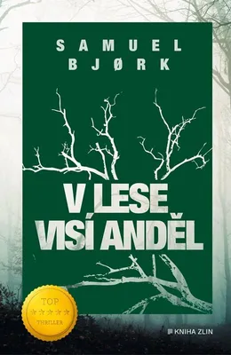 Produktbild von V lese visí anděl