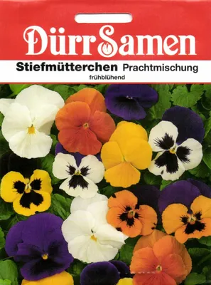 Produktbild von Stiefmütterchen mit & ohne Auge Mischung | Stiefmütterchensamen von Dürr Samen