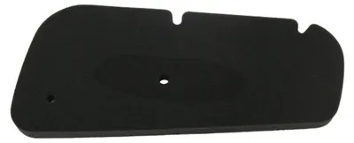 Productafbeelding van Luchtfilter voor Honda FES Pantheon 125/150, modeljaren '98-02, (50)