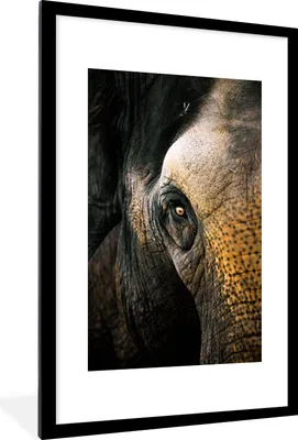 Produktbild von MuchoWow® MuchoWow® Gerahmtes Poster Elefant - Nahaufnahme - Tiere - Natur 60x90 cm - Poster mit zchwarzem Bilderrahmen - Dekoration - Wandposter Wohnzimmer - Hochwertig