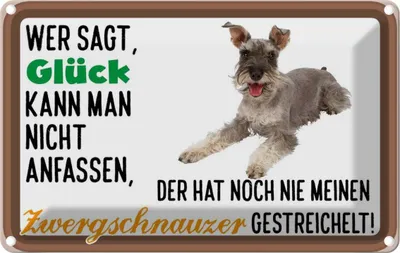 Produktbild von vianmo Blechschild 12x18 cm Glück Zwergschnauzer Hund Dekoration