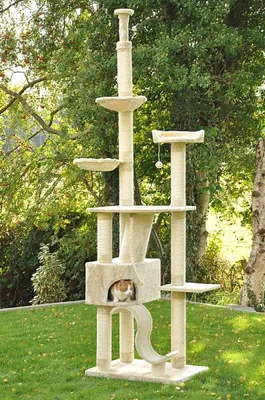 Produktbild von Kratzbaum Sigurd 6 - beige - deckenhoch 11 cm Kratzstämme