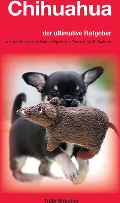 Produktbild von Chihuahua