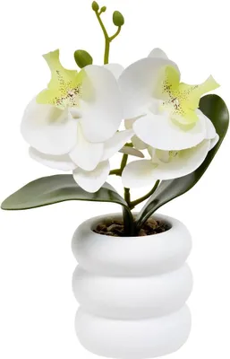 Produktbild von Künstliche blume mick orchidee h 23 cm - Atmosphera créateur d'intérieur