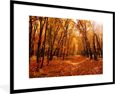 Produktbild von MuchoWow® Gerahmtes Poster Herbst - Wald - Laub - Jahreszeiten 90x60 cm - Poster mit Schwarzem Bilderrahmen Wandposter Rahmen Foto Bilder - Wanddekoration - Fotos