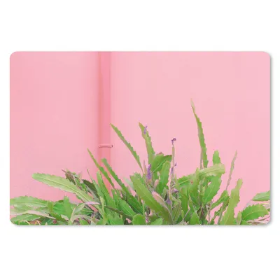 Produktbild von MuchoWow® Schreibtischunterlage Pflanze - Sommer - Rosa 60x40 cm - XXL Mauspad - Großes Mauspad