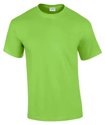 Image de Gildan - T-shirt unie homme/femme FK2634 (3XL) (citron vert)