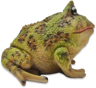 Imagen del producto de Ibenzoa®: Rana de resina pintada a mano, figura decorativa resistente a la intemperie para interior y exterior, 13 cm, con base pesada