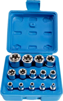 Obrázok produktu pre Sada nástrčných hlavíc - kľúčov E-TORX E4 - E24, 1/4'', 3/8'', 1/2'', 14ks