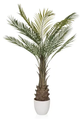 Produktbild von hjh OFFICE Kunstpflanze DRACAENA Künstliche Pflanze Drachenbaum Höhe 120.0 cm Deko