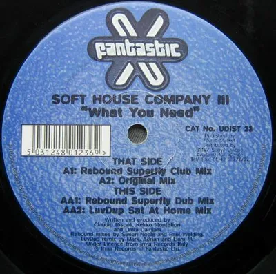 Zdjęcie produktu dla What You Need (Mixes)