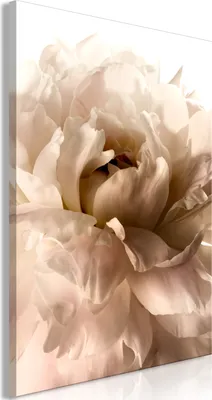 Produktbild von Italienischer Leinwand Leinwandbild - Soft Petals (1 Part) Vertical 40x60 cm Blumen b-C-0500-b-a