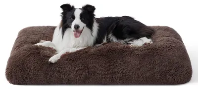Productafbeelding van Hondenbed, wasbaar, zacht, 89x58 cm, bruin