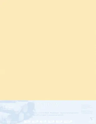 Produktbild von Clairefontaine Papier für Pastellmalerei 5 Bogen 70x100cm Butterblume 396022C