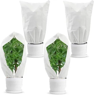 Image de Housses de protection pour plantes, respirantes et résistantes au gel, beiges, 60 x 80 cm