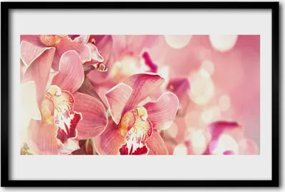 Produktbild von Bild 60x40 MDF-Rahmen Wandkunst Blumen Pflanzen