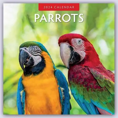 Produktbild von Parrots - Papageien 2024/ 16-Monatskal.