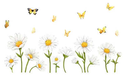 Produktbild von Fensteraufkleber mit Frühlingsblumen, Gartenblumen und Schmetterlingen – wiederverwendbare, statisch haftende Glasaufkleber für Glastüren und Fenster