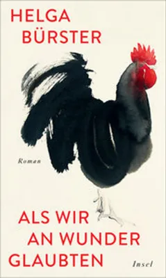 Produktbild von Als wir an Wunder glaubten
