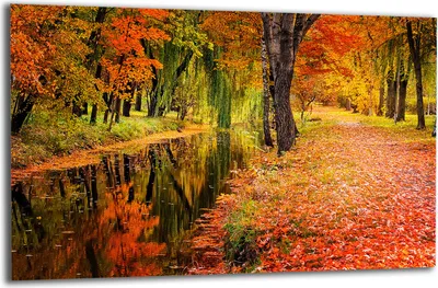 Produktbild von Herdabdeckplatte Glaskeramikkochfeld-Abdeckung Spritzschutz Glas 80x52 Landschaft