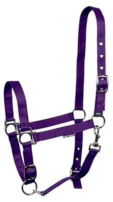 Image de Harry's Horse, rênes de tête réglables 3 fois, couleur lilas, taille cheval